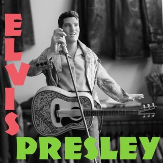 僕のエゴでELVISコーナーを開設。