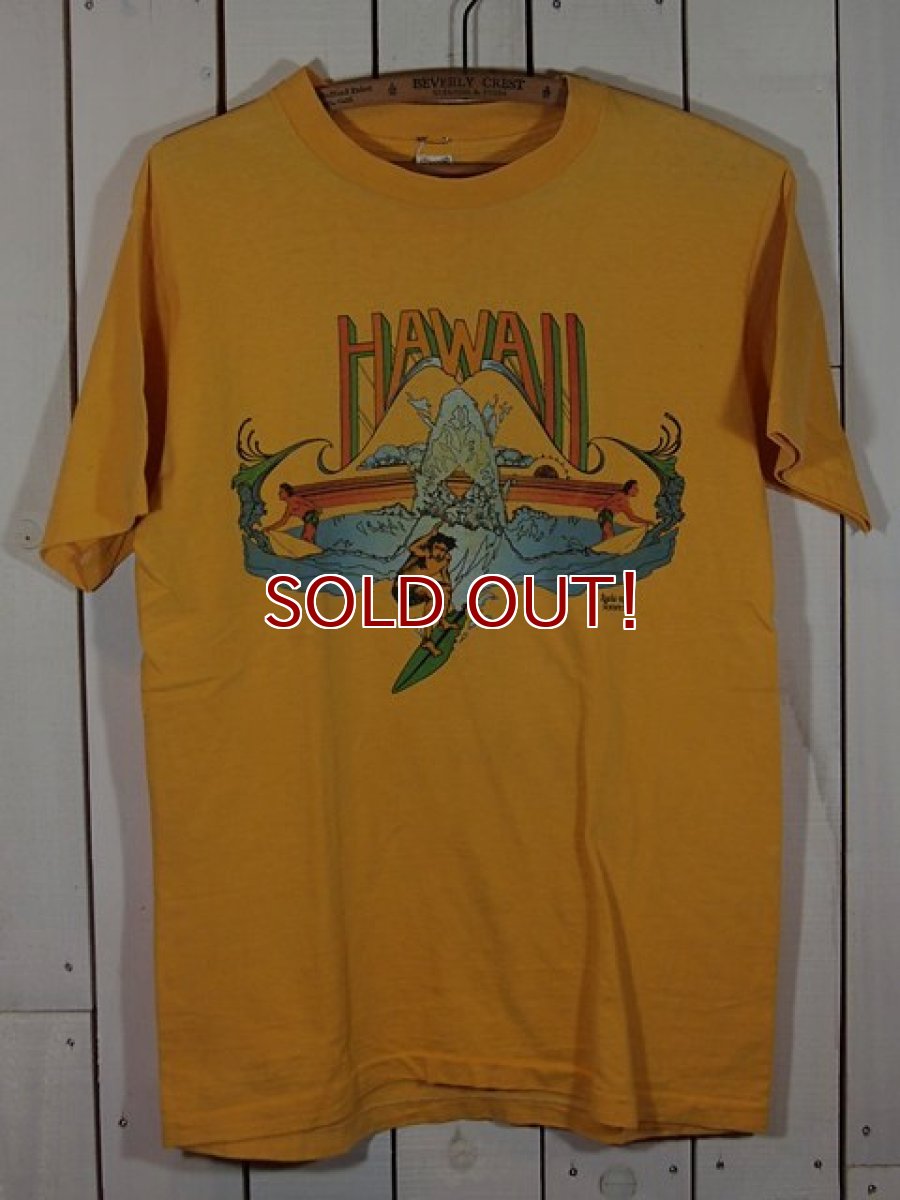 画像2: 1970s【Hanes】HAWAIIサーフTシャツ (2)