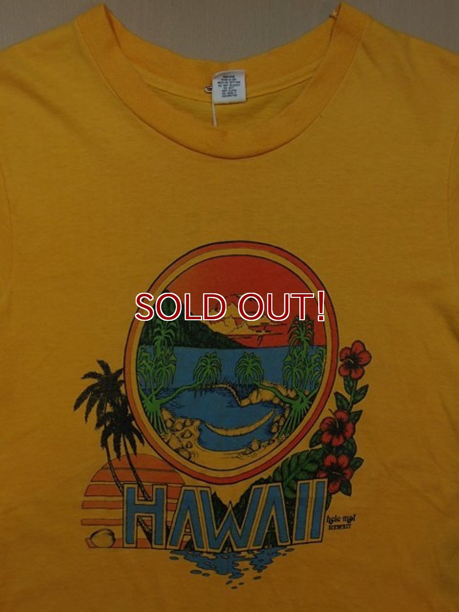 画像1: 1970s【Hanes】ハワイサーフTシャツ (1)
