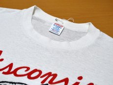 画像4: 1980sグレちゃったバッキーくんTシャツ (4)