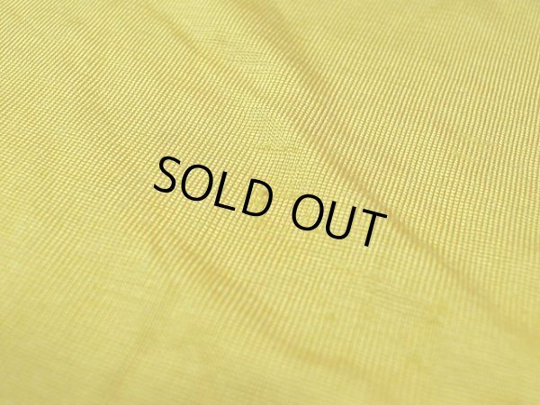 画像11: 1950s【Champion】ランタグレーヨンTシャツ VFW