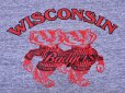 画像5: 1980s WISCONSIN Bucky BadgersカレッジTシャツ　表記M