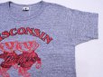 画像6: 1980s WISCONSIN Bucky BadgersカレッジTシャツ　表記M