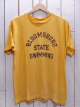 画像1: 1970s【Champion】BLOOMSBURGカレッジTシャツ バータグ　表記L (1)