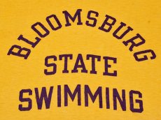 画像5: 1970s【Champion】BLOOMSBURGカレッジTシャツ バータグ　表記L (5)