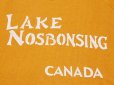 画像4: 1960s LAKE NOSBONSINGスウェット　実寸L