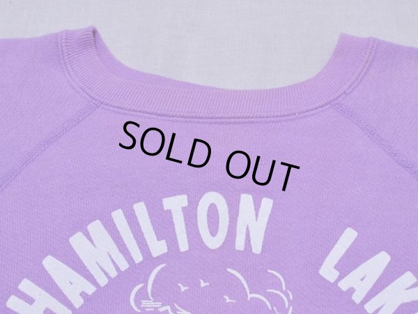 画像3: 1960s HAMILTON LAKEスウェット レアカラー　実寸ML