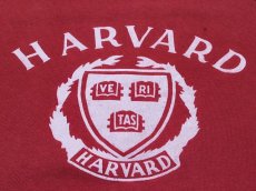 画像6: 1970s【Champion】HARVARDカレッジスウェット バータグ フロッキープリント　表記L (6)