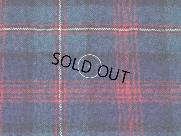 背中に僅かな虫食い。