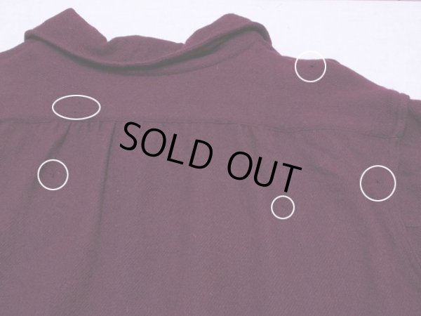 背中に多少の虫食い。