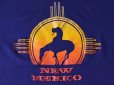 画像5: 1980s NEW MEXICO Tシャツ　 表記XL 