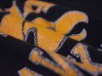 画像7: 1980s【Champion】カレッジTシャツ IOWA HAWKEYES　 表記L 