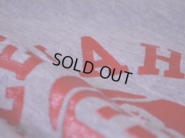 画像10: 1970s Champion リバースウィーブスウェット  単色タグ  表記XL