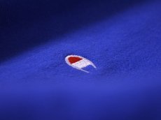 画像10: 1990s Champion リバースウィーブスウェット　 目付き　 表記L  (10)