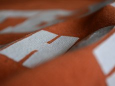 画像5: 1980s〜 TEXAS LONGHORNS スウェット　 実寸L  (5)