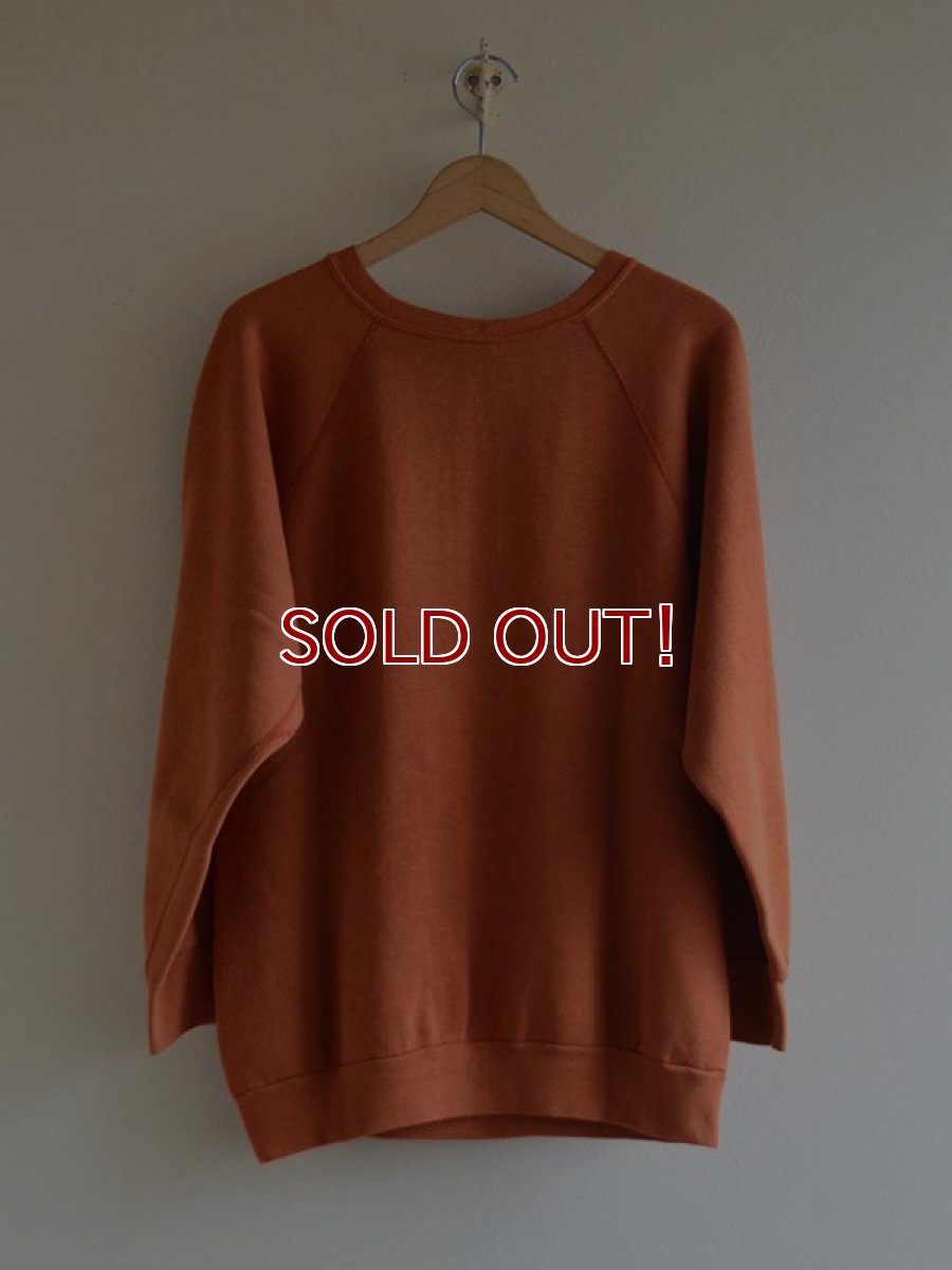 画像2: 1980s〜 TEXAS LONGHORNS スウェット　 実寸L  (2)