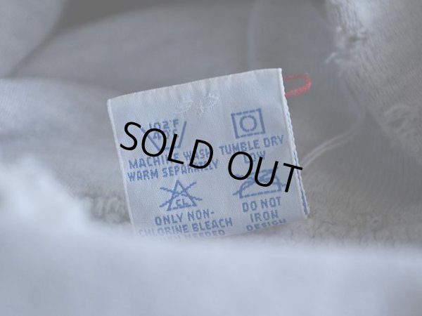 画像4: 1990s Champion リバースウィーブパーカー  染込みプリント  表記XL