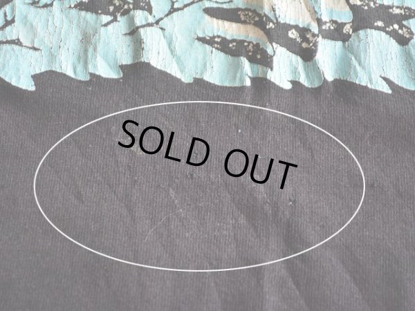 お腹付近に僅かな汚れピンホール。