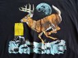 画像5: 1980s White Tailed Deer Tシャツ　 実寸L 