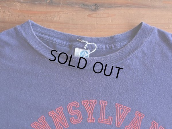 画像4: 1980s ARTEX カレッジTシャツ　 フロッキープリント　 表記L 