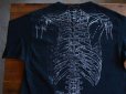 画像6: 1990s Leslie Arwin 人体骨格だまし絵Tシャツ　 実寸L-XL 