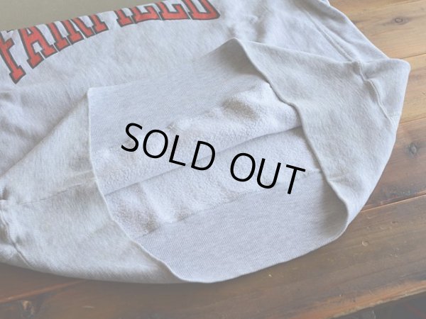 画像10: 1990s Champion リバースウィーブスウェット  表記L