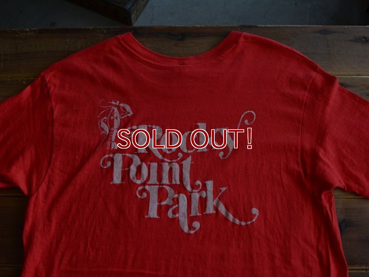 画像7: 1970s Hanes Coke Tシャツ　 表記L  (7)