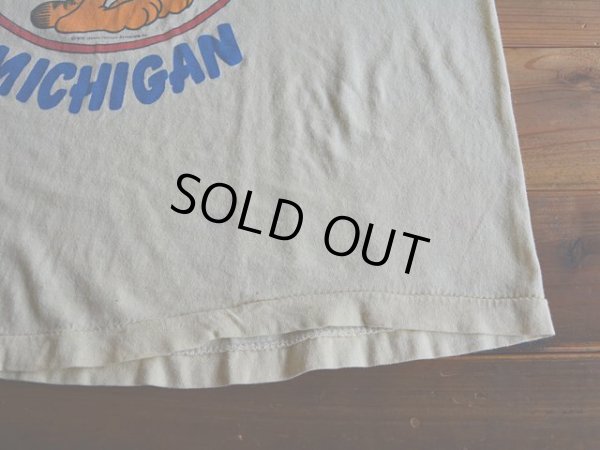 画像7: 1970s Garfield Tシャツ　 実寸ML 