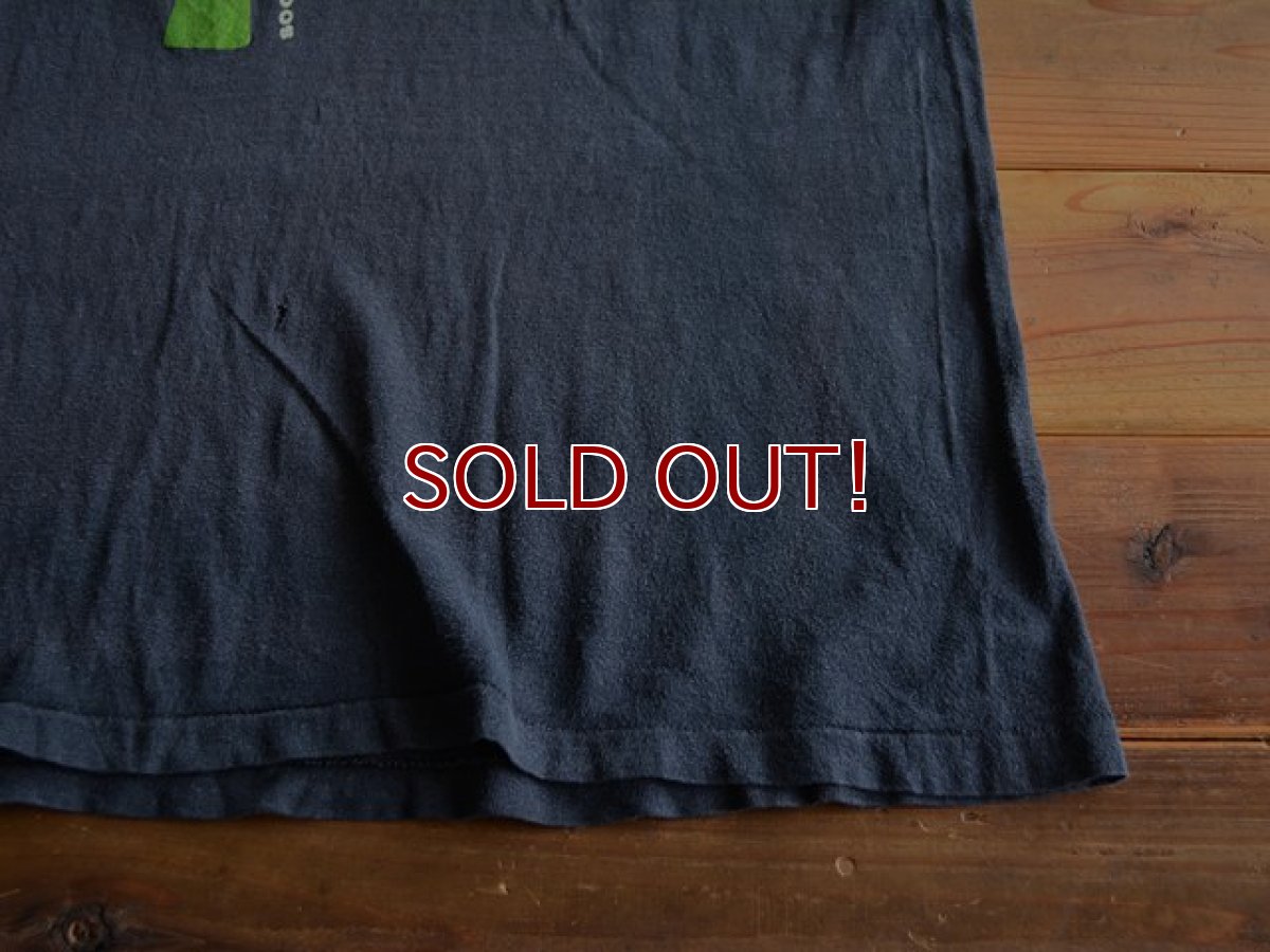 画像6: 1970s Hanes 自然保護プリントTシャツ　 表記L  (6)