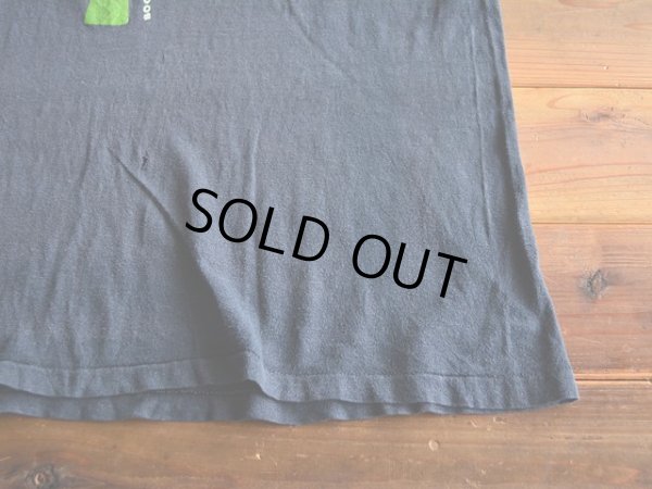 画像6: 1970s Hanes 自然保護プリントTシャツ　 表記L 