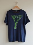 画像1: 1970s Hanes 自然保護プリントTシャツ　<br>表記L<br> (1)