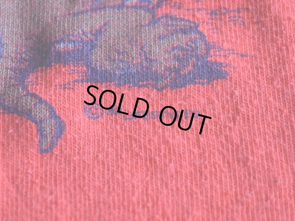 画像6: 1980s AUSTIN アルマジロTシャツ　 表記M 