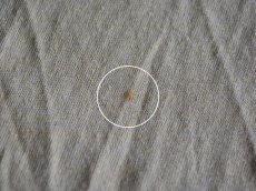 お腹に僅かな汚れ。