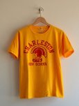 画像1: 1970s Champion フロッキーTシャツ　<br>表記L<br> (1)