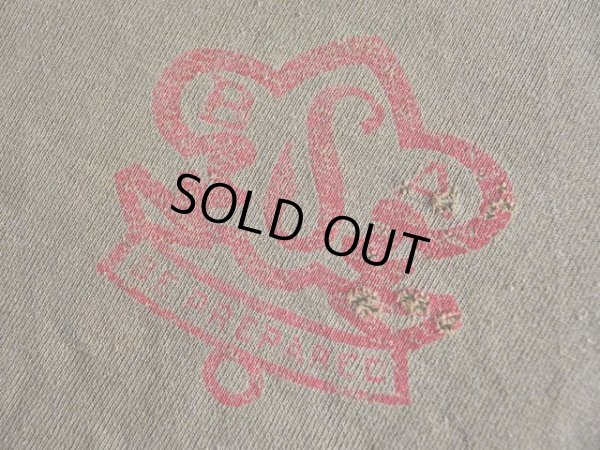 胸のプリント付近に小さなダメージ。