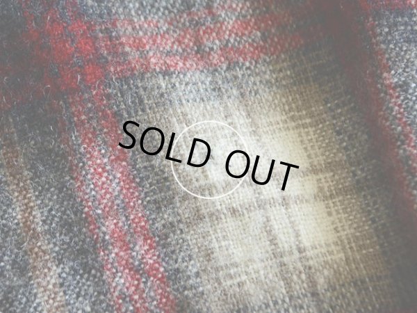 背中右上付近に小さな虫食い。