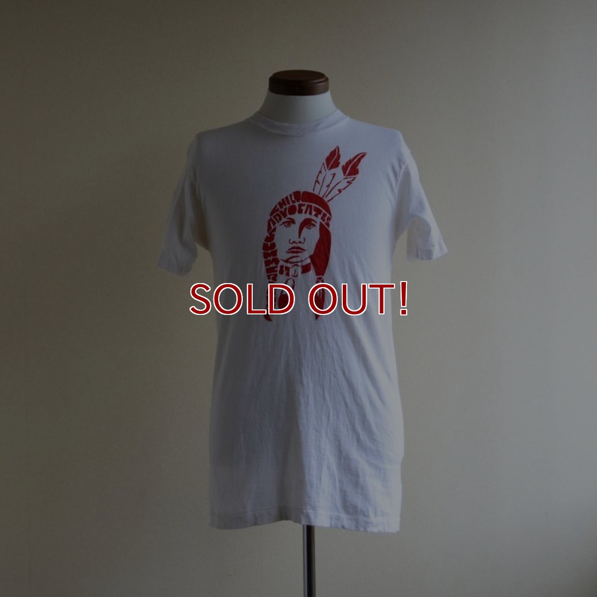 画像1: 1980s SUMMER CAMP 87 Tシャツ　 表記M  (1)