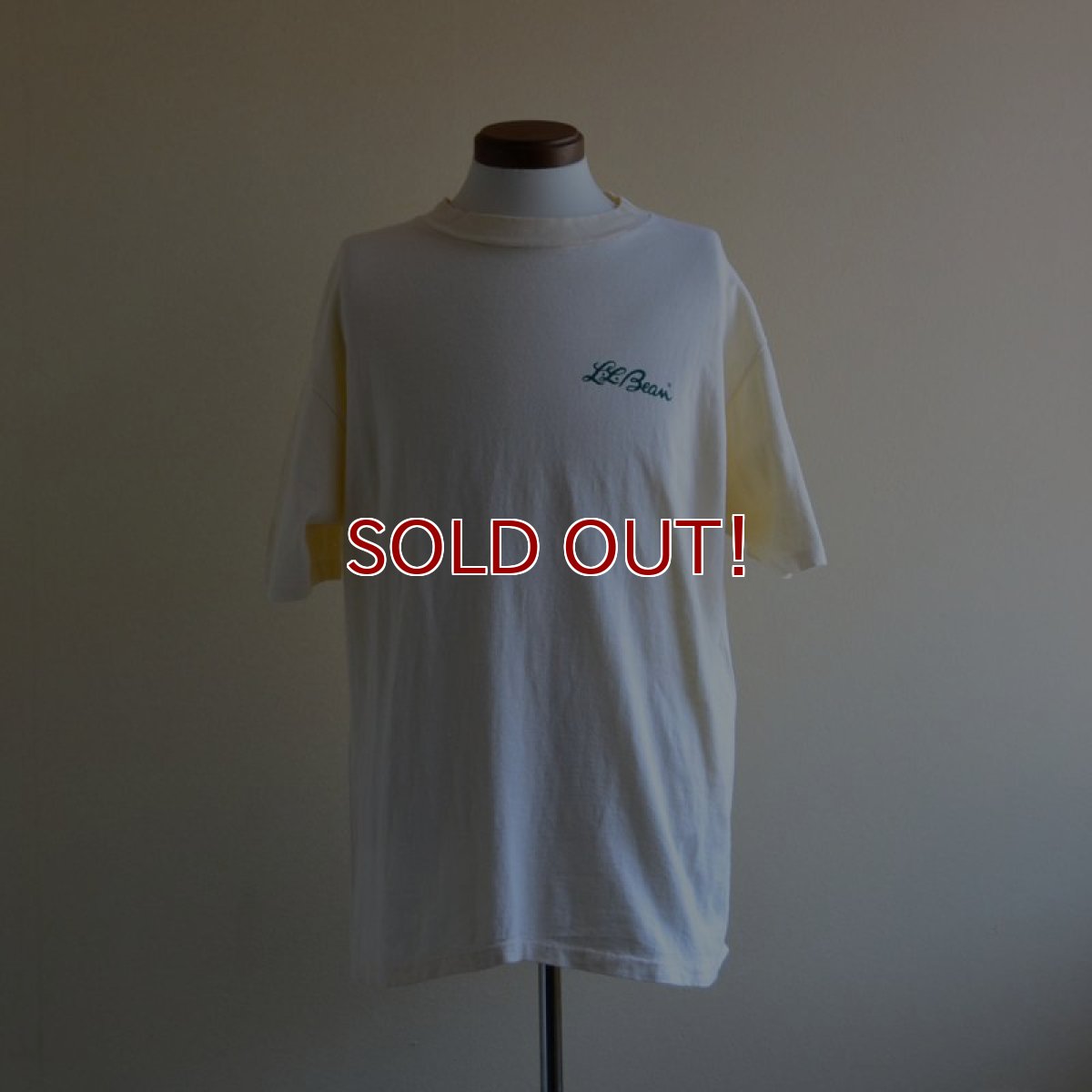 画像1: 1990s L.L.Bean ロゴプリントTシャツ　 表記XL  (1)