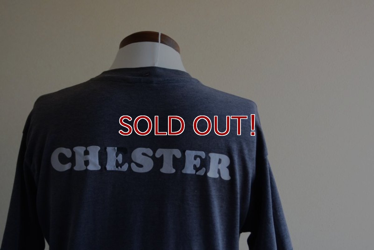画像14: 1980s BORIS VALLEJO 幻想絵画Tシャツ　 実寸L  (14)
