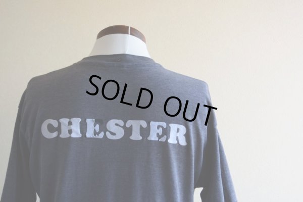 画像14: 1980s BORIS VALLEJO 幻想絵画Tシャツ　 実寸L 