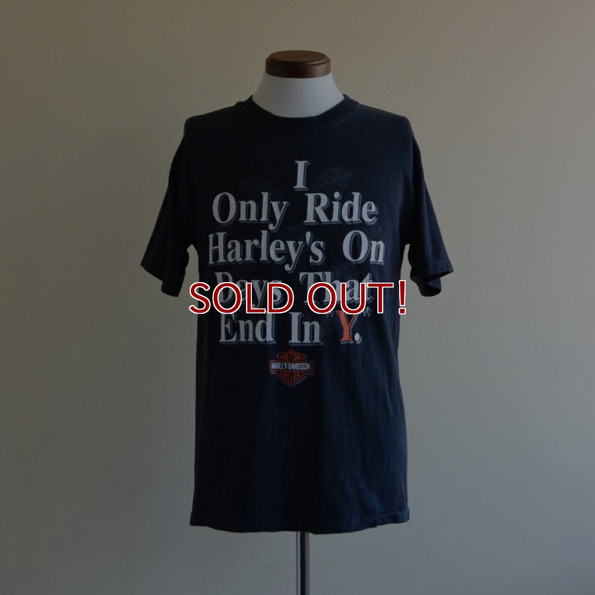 画像1: 1990s Harley-Davidson Tシャツ　 表記M  (1)