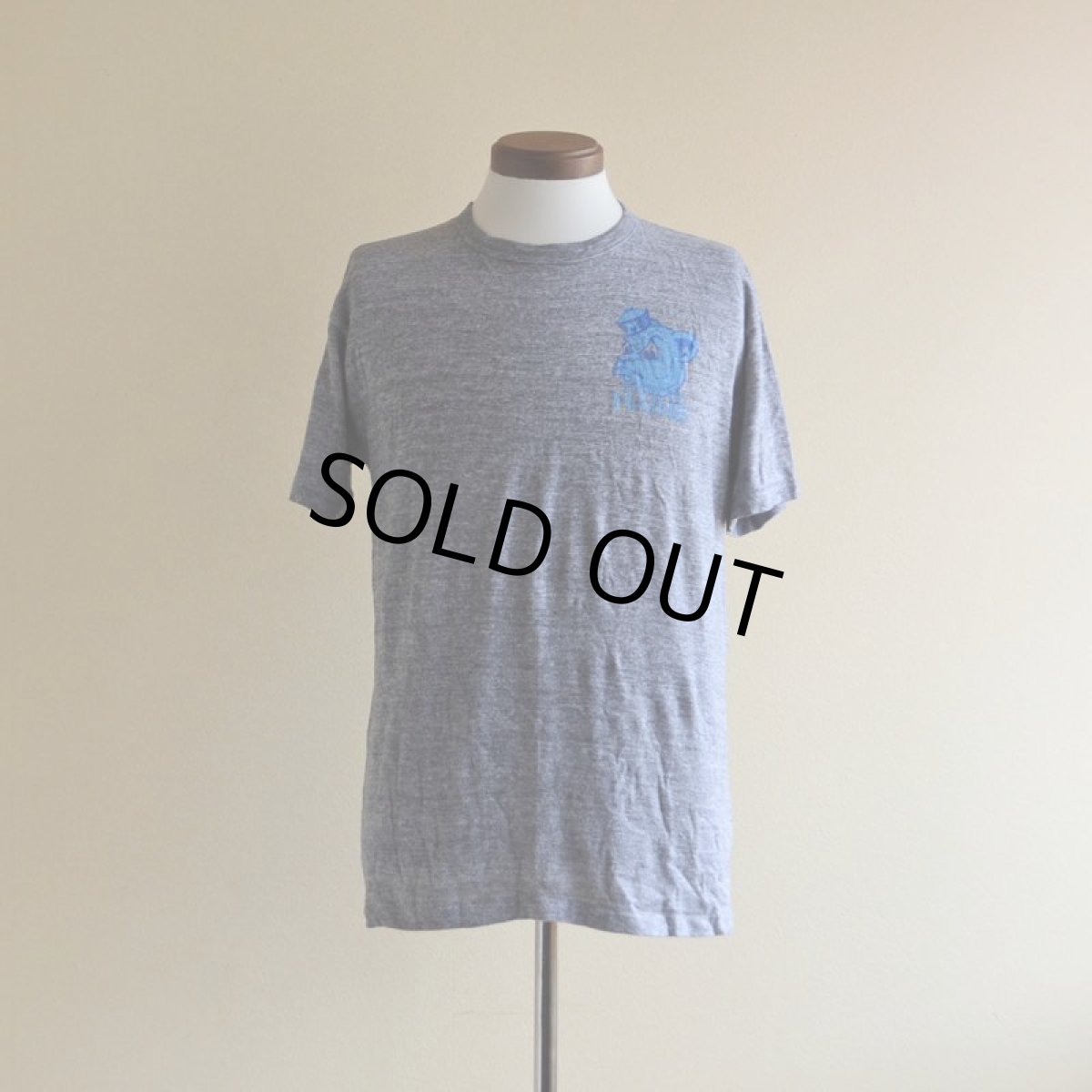 画像1: 1980s UNIVERSITY OF MAINE カレッジTシャツ　 表記L  (1)