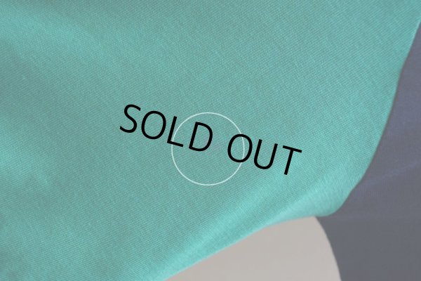 画像13: 1970s NIKE VネックTシャツ　 表記L 