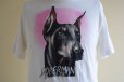 画像6: 1980s DOBERMAN Tシャツ　 実寸M 