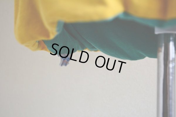 画像14: 1970s Champion リバーシブルTシャツ  染み込みプリント  表記XL