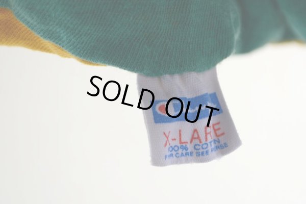 画像15: 1970s Champion リバーシブルTシャツ  染み込みプリント  表記XL