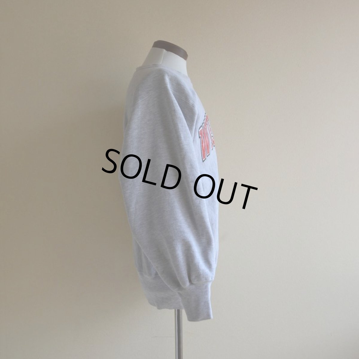 画像2: 1990s Champion リバースウィーブスウェット　 表記M  (2)