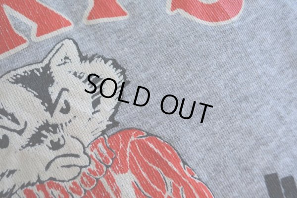 画像8: 1980s WISCONSIN カレッジスウェット　 表記L 