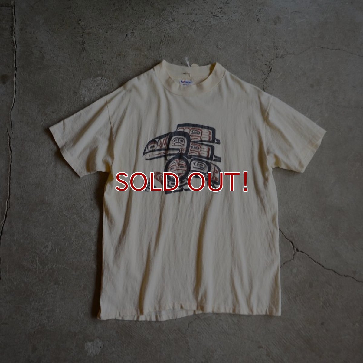 画像1: 1980s Hanes Tシャツ　 表記XL  (1)