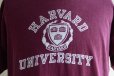 画像8: 1980s Champion HARVARDカレッジTシャツ　 表記XL 